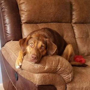 Meet your Posher, Emilie